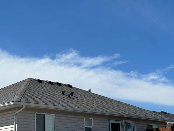 Best Asphalt Shingles Roofing  in Ansonia, OH